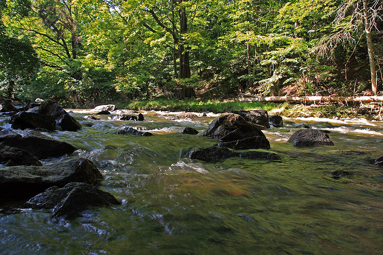 Mandau im Roschertal