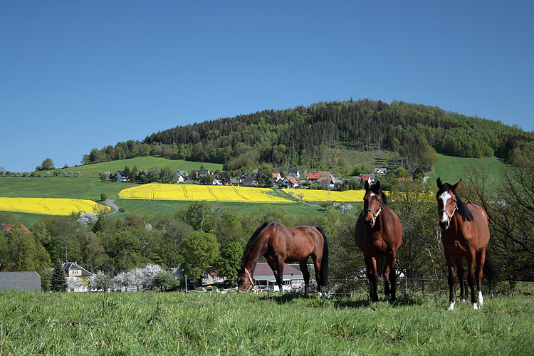 Panorama-Standort Breiteberg